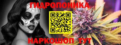 стафф Донецк