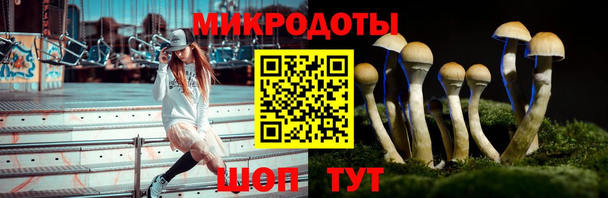 Нововоронеж  Галлюциногенные грибы Psilocybe  Псилоцибиновые грибы мухоморы  Вход с VPN 